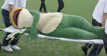 Polar Vest Mascots 1 Staying Cool